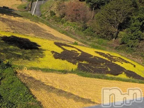 新潟人妻デリヘル熟女の風俗 最終章(ジュクジョノフウゾクサイシュウショウ) さつき(50)の9月26日写メブログ「今日は、朝早くに田んぼアートを見てきました。」