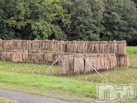 新潟デリヘル熟女の風俗 最終章(ジュクジョノフウゾクサイシュウショウ) さつき(50)の10月8日写メブログ「米どころ新潟　ご飯美味しいですよね。」