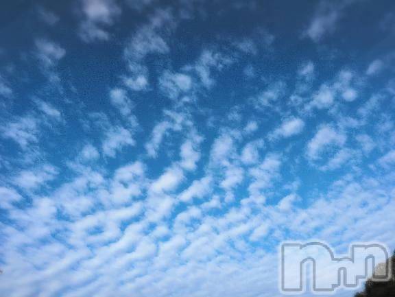 新潟デリヘル熟女の風俗 最終章(ジュクジョノフウゾクサイシュウショウ) さつき(50)の10月8日写メブログ「空は秋空　　鰯雲　鯖雲とも言われますが、」