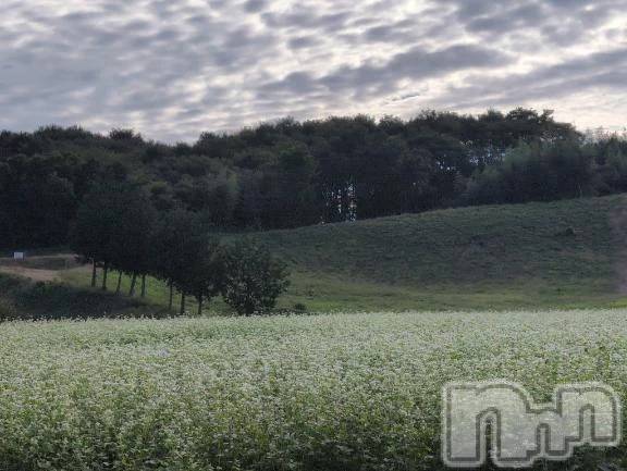 新潟デリヘル熟女の風俗 最終章(ジュクジョノフウゾクサイシュウショウ) さつき(50)の10月8日写メブログ「今年も台風の話題が何度もニュースで出ましたが、」