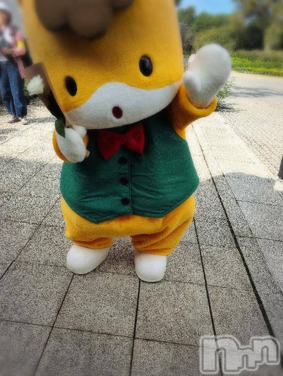 新潟デリヘル熟女の風俗 最終章(ジュクジョノフウゾクサイシュウショウ) さつき(50)の10月10日写メブログ「秋ばら🌹も咲いてますね」