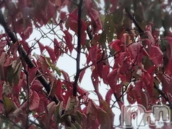 新潟デリヘル熟女の風俗 最終章(ジュクジョノフウゾクサイシュウショウ) さつき(50)の10月14日写メブログ「峠の駐車場で少しだけ紅葉している葉っぱが」