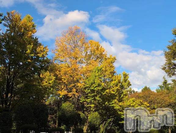 新潟デリヘル熟女の風俗 最終章(ジュクジョノフウゾクサイシュウショウ) さつき(50)の10月15日写メブログ「今年は気温がなかなかさがらないから」