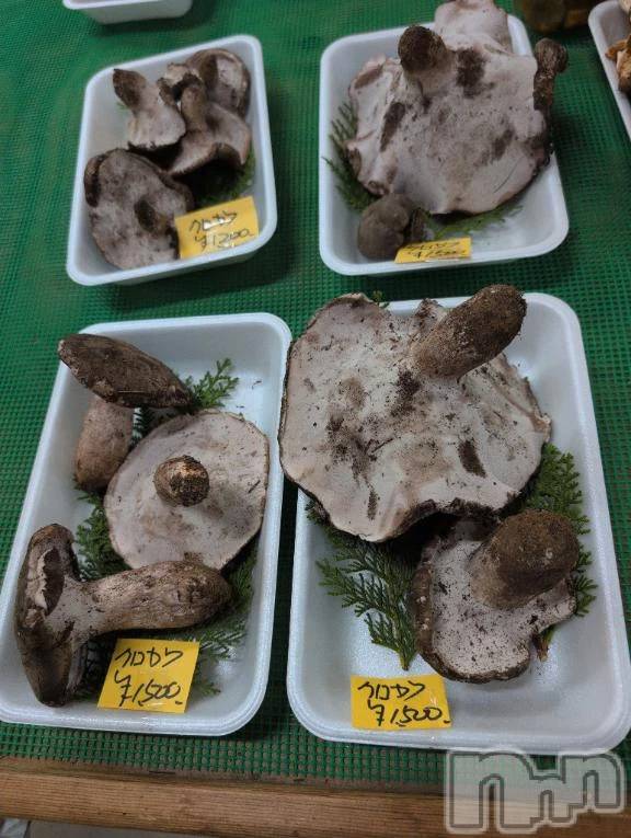 新潟デリヘル熟女の風俗 最終章(ジュクジョノフウゾクサイシュウショウ) さつき(50)の10月17日写メブログ「今年も出てしまった、毒きのこでの食中毒」