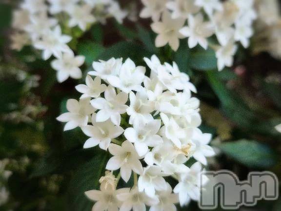 新潟デリヘル熟女の風俗 最終章(ジュクジョノフウゾクサイシュウショウ) さつき(50)の10月18日写メブログ「習慣はおそろしいもので、めざまし時計がなくても」