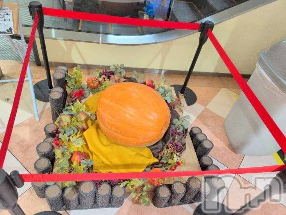 新潟デリヘル熟女の風俗 最終章(ジュクジョノフウゾクサイシュウショウ) さつき(50)の10月19日写メブログ「この際、⭕️玉の言葉を」