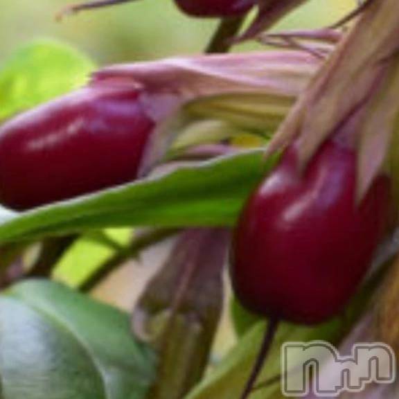 新潟デリヘル熟女の風俗 最終章(ジュクジョノフウゾクサイシュウショウ) さつき(50)の10月19日写メブログ「山口県の一部では、ツルリンドウのことを」