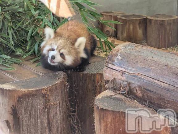 新潟デリヘル熟女の風俗 最終章(ジュクジョノフウゾクサイシュウショウ) さつき(50)の10月25日写メブログ「今日は何の日　世界パスタデート」