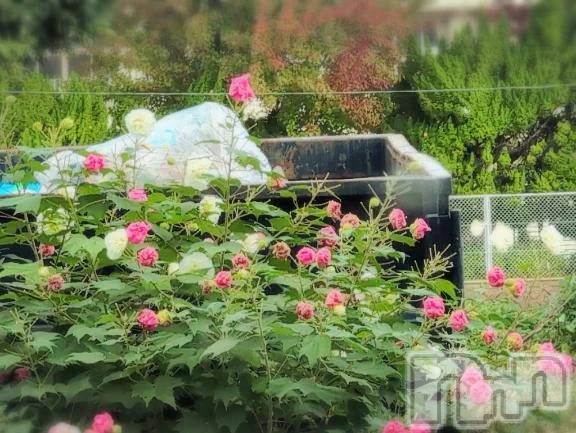 新潟デリヘル熟女の風俗 最終章(ジュクジョノフウゾクサイシュウショウ) さつき(50)の10月27日写メブログ「某テレビ番組の話の始まりにタイムカプセルが」