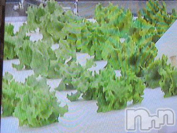 新潟デリヘル熟女の風俗 最終章(ジュクジョノフウゾクサイシュウショウ) さつき(50)の10月31日写メブログ「天候に左右されない植物工場」