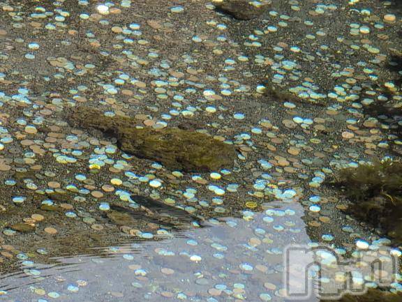 新潟人妻デリヘル熟女の風俗 最終章(ジュクジョノフウゾクサイシュウショウ)さつき(50)の2025年5月5日写メブログ「あんなに綺麗だったのに、」
