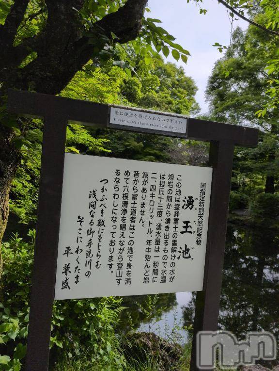 新潟人妻デリヘル熟女の風俗 最終章(ジュクジョノフウゾクサイシュウショウ)さつき(50)の2025年5月8日写メブログ「こんなすてきな所にも、コインが投げ入れられていて、かなしいね。」