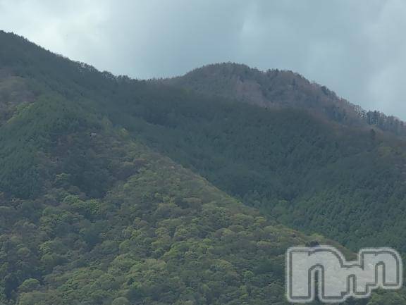 新潟人妻デリヘル熟女の風俗 最終章(ジュクジョノフウゾクサイシュウショウ)さつき(50)の2025年5月17日写メブログ「山に咲いている藤の花　　実は、他の木を枯らしてしまうんです。」
