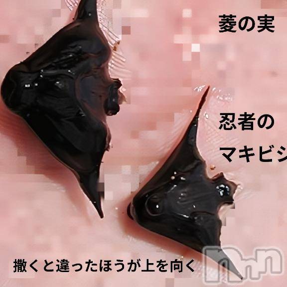 新潟人妻デリヘル熟女の風俗 最終章(ジュクジョノフウゾクサイシュウショウ)さつき(50)の2025年7月5日写メブログ「忍者のマキビシは、菱の実　　大菱」
