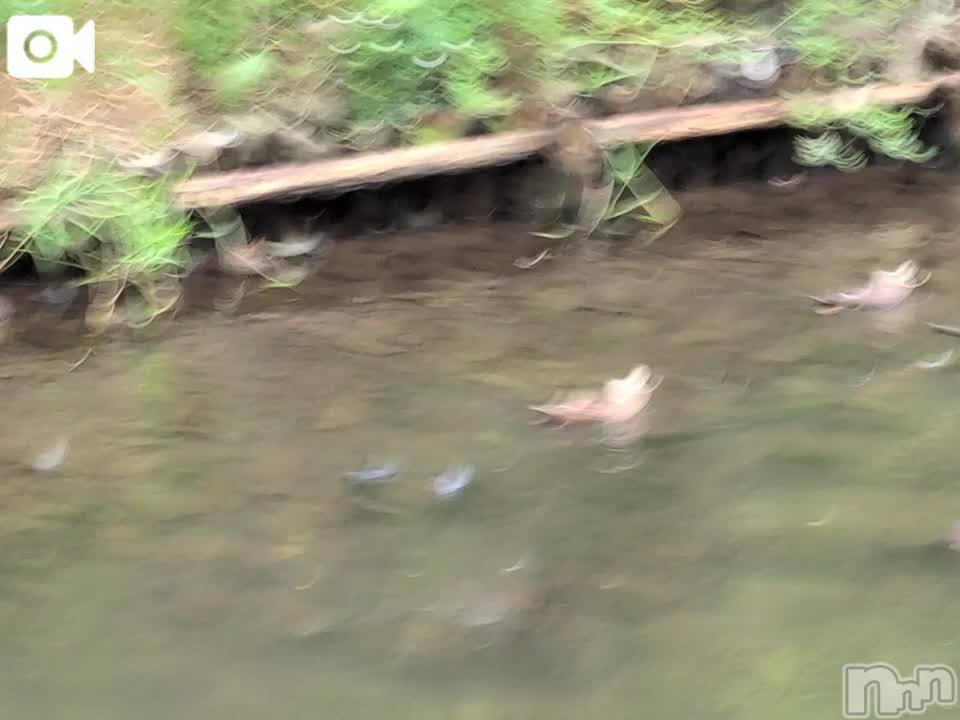 新潟人妻デリヘル熟女の風俗 最終章(ジュクジョノフウゾクサイシュウショウ)さつき(50)の2025年8月8日写メブログ「昨日泊まったホテルのロビーの横には」