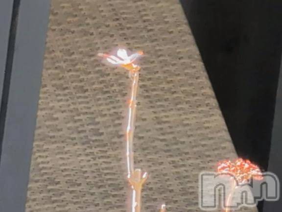 新潟デリヘル熟女の風俗 最終章(ジュクジョノフウゾクサイシュウショウ)さつき(50)の2025年9月30日写メブログ「あじさいの枝に、何度もトンボがとまっては、もどりしています。」