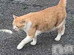 新潟人妻デリヘル熟女の風俗 最終章(ジュクジョノフウゾクサイシュウショウ) さつき(50)の9月21日写メブログ「おはようございます。❤」