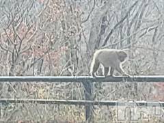 新潟人妻デリヘル熟女の風俗 最終章(ジュクジョノフウゾクサイシュウショウ) さつき(50)の11月21日写メブログ「明日から、高崎店出勤です。」