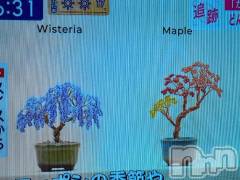 新潟人妻デリヘル熟女の風俗 最終章(ジュクジョノフウゾクサイシュウショウ) さつき(50)の2月27日写メブログ「最新便利グッズ　　その中でプロがいいねの商品が」