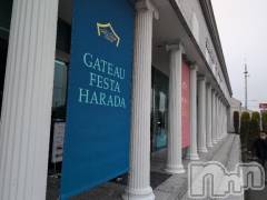新潟人妻デリヘル熟女の風俗 最終章(ジュクジョノフウゾクサイシュウショウ) さつき(50)の3月11日写メブログ「今日は色々見てきました。❤️♥️🩷」