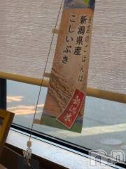 新潟人妻デリヘル熟女の風俗 最終章(ジュクジョノフウゾクサイシュウショウ) さつき(50)の4月13日写メブログ「おはようございます。」
