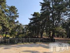 新潟人妻デリヘル熟女の風俗 最終章(ジュクジョノフウゾクサイシュウショウ) さつき(50)の4月17日写メブログ「こんな風景も好き」