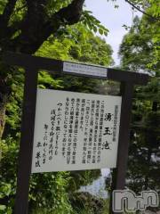 新潟人妻デリヘル熟女の風俗 最終章(ジュクジョノフウゾクサイシュウショウ) さつき(50)の5月8日写メブログ「こんなすてきな所にも、コインが投げ入れられていて、かなしいね。」