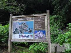 新潟人妻デリヘル熟女の風俗 最終章(ジュクジョノフウゾクサイシュウショウ) さつき(50)の6月3日写メブログ「朝３時起きして、あじさいを見て来ました。」