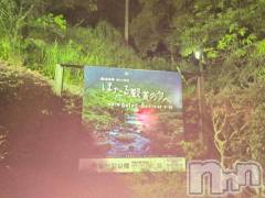 新潟人妻デリヘル熟女の風俗 最終章(ジュクジョノフウゾクサイシュウショウ) さつき(50)の6月4日写メブログ「今日は、2箇所も、ほたる見て来ました。。」