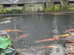新潟人妻デリヘル熟女の風俗 最終章(ジュクジョノフウゾクサイシュウショウ) さつき(50)の6月11日写メブログ「今日も、雨」