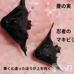 新潟デリヘル熟女の風俗 最終章(ジュクジョノフウゾクサイシュウショウ) さつき(50)の7月5日写メブログ「忍者のマキビシは、菱の実　　大菱」