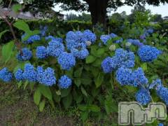 新潟デリヘル熟女の風俗 最終章(ジュクジョノフウゾクサイシュウショウ) さつき(50)の7月6日写メブログ「美味しそうなラーメンが」