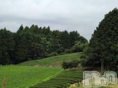 新潟デリヘル熟女の風俗 最終章(ジュクジョノフウゾクサイシュウショウ) さつき(50)の8月10日写メブログ「日本各地で花火大会などが」