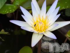 新潟デリヘル熟女の風俗 最終章(ジュクジョノフウゾクサイシュウショウ) さつき(50)の8月12日写メブログ「今日は何の日　御巣鷹山での飛行機事故の日」