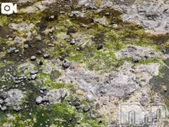 新潟デリヘル熟女の風俗 最終章(ジュクジョノフウゾクサイシュウショウ) さつき(50)の8月21日写メブログ「草津温泉♨️湯畑」