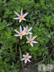 新潟デリヘル熟女の風俗 最終章(ジュクジョノフウゾクサイシュウショウ) さつき(50)の9月10日写メブログ「某コンビニで、色々なロボットが」