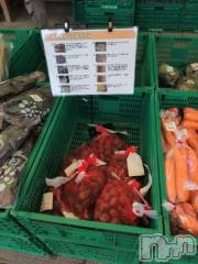 新潟デリヘル熟女の風俗 最終章(ジュクジョノフウゾクサイシュウショウ) さつき(50)の9月29日写メブログ「彼岸花には毒がありますが、」