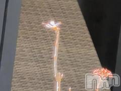 新潟デリヘル熟女の風俗 最終章(ジュクジョノフウゾクサイシュウショウ) さつき(50)の9月30日写メブログ「あじさいの枝に、何度もトンボがとまっては、もどりしています。」