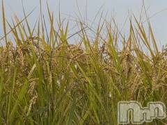 新潟デリヘル熟女の風俗 最終章(ジュクジョノフウゾクサイシュウショウ) さつき(50)の10月6日写メブログ「美味しいご飯が大好きな私」