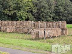 新潟デリヘル熟女の風俗 最終章(ジュクジョノフウゾクサイシュウショウ) さつき(50)の10月8日写メブログ「米どころ新潟　ご飯美味しいですよね。」