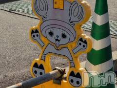 新潟デリヘル熟女の風俗 最終章(ジュクジョノフウゾクサイシュウショウ) さつき(50)の10月8日写メブログ「今日は何の日　はらこ飯の日」