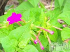 新潟デリヘル熟女の風俗 最終章(ジュクジョノフウゾクサイシュウショウ) さつき(50)の10月21日写メブログ「今日は何の日　漬物　Ｎｏ．2」