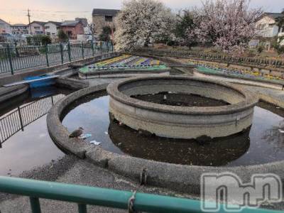 新潟人妻デリヘル 熟女の風俗 最終章(ジュクジョノフウゾクサイシュウショウ) さつき(50)の3月11日写メブログ「朝、観音様　分水嶺を見て来ました。」