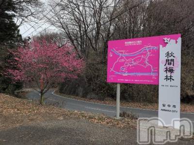 新潟人妻デリヘル 熟女の風俗 最終章(ジュクジョノフウゾクサイシュウショウ) さつき(50)の3月15日写メブログ「今日は、群馬三大梅林の秋間梅林に」