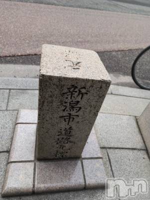 新潟人妻デリヘル 熟女の風俗 最終章(ジュクジョノフウゾクサイシュウショウ) さつき(50)の3月31日写メブログ「こんな所観てきました　No.2」