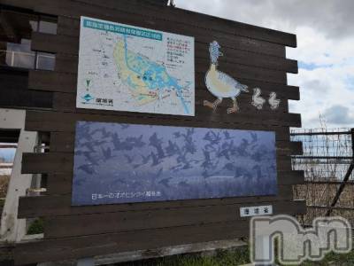 新潟人妻デリヘル 熟女の風俗 最終章(ジュクジョノフウゾクサイシュウショウ) さつき(50)の3月31日写メブログ「近くまで来たから、」