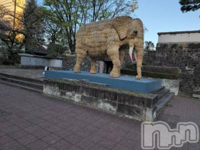 新潟人妻デリヘル 熟女の風俗 最終章(ジュクジョノフウゾクサイシュウショウ) さつき(50)の4月16日写メブログ「早朝に、高崎城跡あたりの桜やお花を見てきました。」