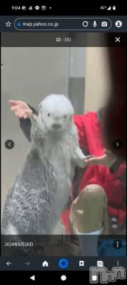新潟人妻デリヘル 熟女の風俗 最終章(ジュクジョノフウゾクサイシュウショウ) さつき(50)の4月25日写メブログ「大好きなパンダ🐼が、来年2月以降日本にはいなくなってしまう。」