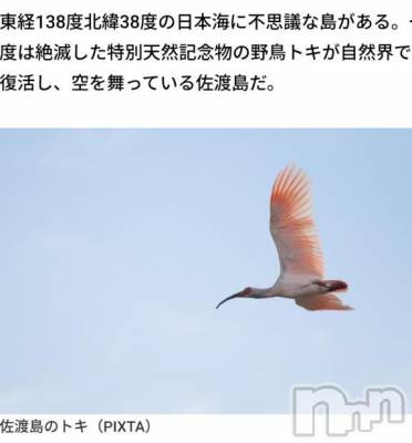 新潟人妻デリヘル 熟女の風俗 最終章(ジュクジョノフウゾクサイシュウショウ) さつき(50)の4月30日写メブログ「今日は何の日　　平成7年に、トキのミドリが亡くなった日」