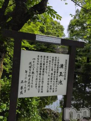 新潟人妻デリヘル 熟女の風俗 最終章(ジュクジョノフウゾクサイシュウショウ) さつき(50)の5月8日写メブログ「こんなすてきな所にも、コインが投げ入れられていて、かなしいね。」